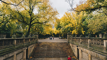 Central Park, , Baltana HD wallpaper