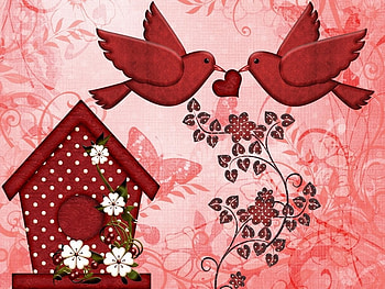 Anniversary design, pink, white, birds, red HD wallpaper