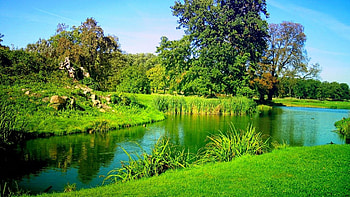 Nature, Ultra Nature HD wallpaper