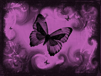 98cd55b8 3 .jpg, purple, butterfly abstract HD wallpaper