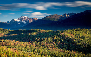 Canada Mountains Forests Parks , mountains, sky, nature, forest HD wallpaper