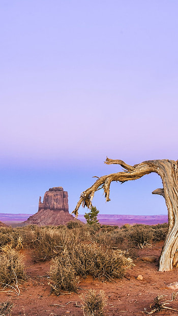 Monument Valley computer , backgrounds, Nature's beauty, Monument valley HD phone wallpaper