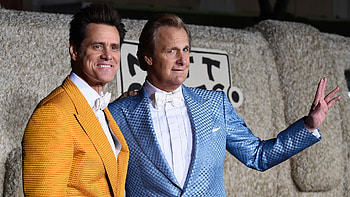 Jeff Daniels, Dumb and Dumber To, Premiere, Another sequel HD wallpaper