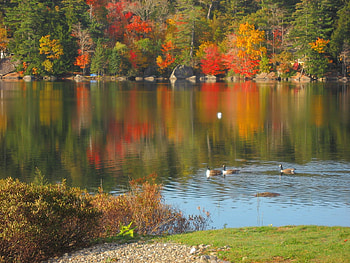 BEAUTIFUL LAKE, gorgeous, beautiful, a, shoreline HD wallpaper