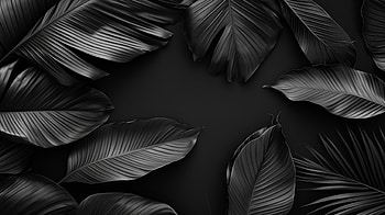 Dark Monochrome Leaves, dark aesthetic, foliage, nature, monochrome HD wallpaper