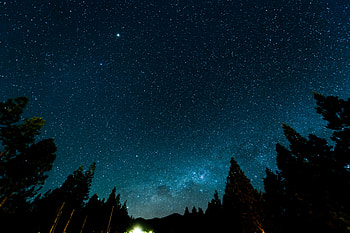 Stars, Night, Dark, Forest, Starry Sky, Nebula HD wallpaper