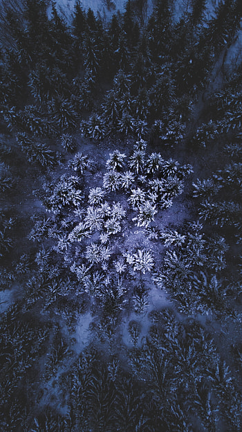 Winter, aerial view, Norway HD phone wallpaper