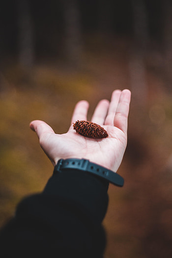 Hand, Miscellanea, Miscellaneous, Palm, Focus, Cone, Bump HD phone wallpaper