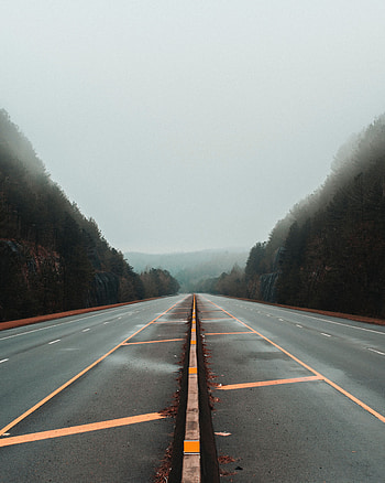 Road, Nature, Trees, Markup, Fog, Lines HD phone wallpaper