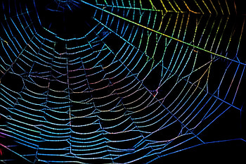 Holidays, Web, Drops, Multicolored, Motley HD wallpaper