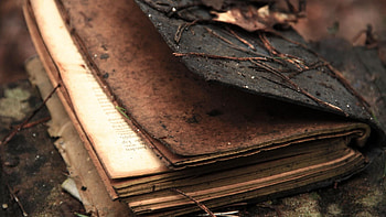 Literature , Top , Backgrounds, Literature HD wallpaper
