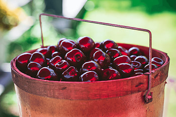 Dark sweet cherry temptation, Cherry central allure, Nature's candy, Deep red cherry delight HD wallpaper