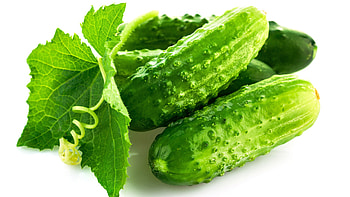 Cucumber, , Baltana HD wallpaper