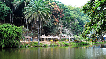 Congolese travels, Trail of two oceans, Rovos Rail, Railway journey HD wallpaper