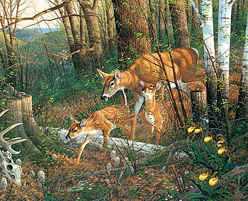 Forest Trip, trees, forest, animals, deer HD wallpaper