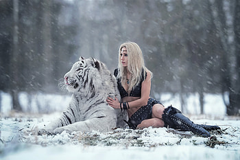 Darya LaFler with a White Tiger, model, tiger, blonde, snow HD wallpaper