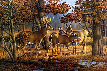 Deers in forest, autumn, art, painting, deer HD wallpaper