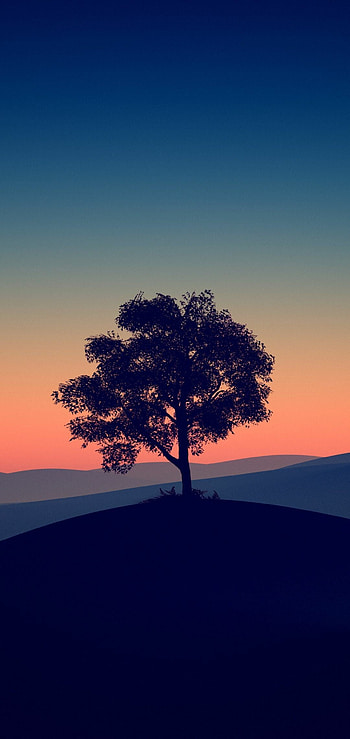 Lone tree, Solitude's embrace, Serene beauty, Captivating simplicity HD phone wallpaper