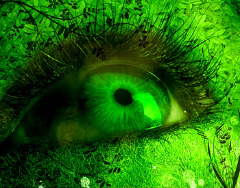 Green Eye, cool, eye, abstract, green HD wallpaper