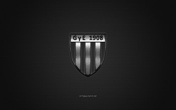 Gimnasia y Esgrima de Mendoza, Argentine football club, silver logo, gray carbon fiber background, Primera B Nacional, football, Mendoza, Argentina, Gimnasia y Esgrima de Mendoza logo HD wallpaper