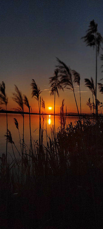 Sunset, sky, nature HD phone wallpaper