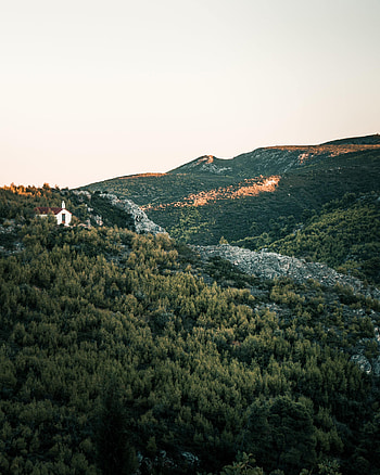 Nature, Trees, Sky, Forest, Slope, Hill HD phone wallpaper