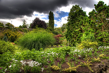 Nature, Sky, Clouds, Vegetation, Garden, Overcast, Mainly Cloudy, Brightly HD wallpaper