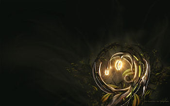 Plants, Fantasy HD wallpaper