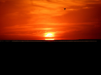 Landscape, Sunset HD wallpaper