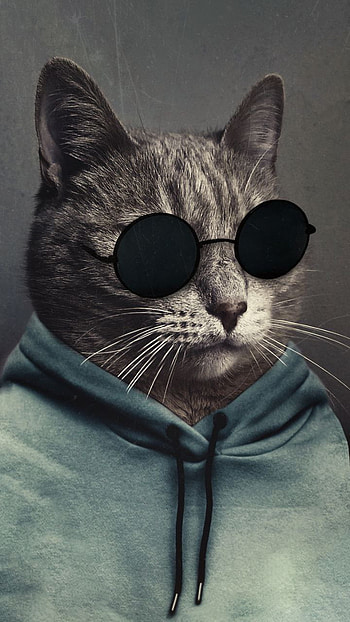 Recent, head, nose HD phone wallpaper
