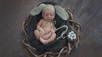 graphy Baby HD wallpaper