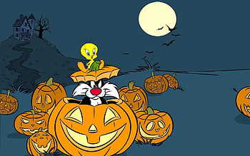 Halloween , Festive backgrounds, Spooky themes, Halloween fun HD wallpaper
