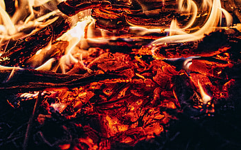 fire flames, , macro, burning coals, bonfire, burning tree, fire, coals, fire textures, burning coal textures, smoldering coals, background with burning coals, background with fire HD wallpaper