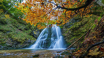 Josefsthaler Waterfall, Bavaria, river, leaves, fall, germany, colors, trees, cascade, forest, autumn HD wallpaper