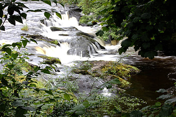 rushing water, river, fun, cool, nature, forest HD wallpaper