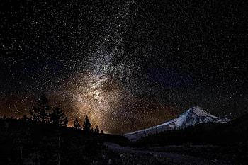 The Stars Are Out, night, trees, sky, stars, mountains HD wallpaper