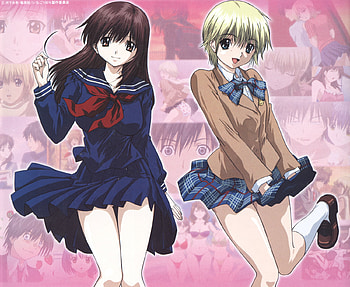 Ichigo 100%, ichigo 100, tsukasa nishino, anime, aya tojo HD wallpaper