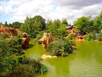 Plants, Landscape, Water, Trees, Stones HD wallpaper
