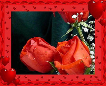 VALENTINE'S ROSES AND HEARTS, hearts, valentine, roses, love HD wallpaper