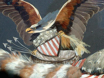 19thC Patriotic Eagle , shield, eagle HD wallpaper