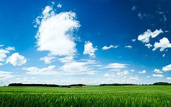 Landscape, Fields HD wallpaper