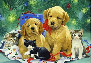 Sweet friends, animal, dog, kitten, puppy, holiday, painting, art, cat HD wallpaper