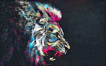Abstract Artistic Colorful Lion, abstract, lion, artistic, artwork, digital-art, colorful HD wallpaper