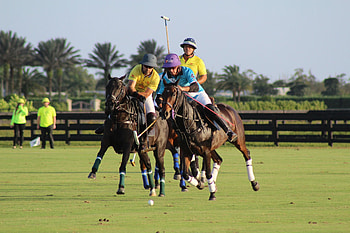 La Indiana vs Zahedi Chogan, Horse Polo HD wallpaper