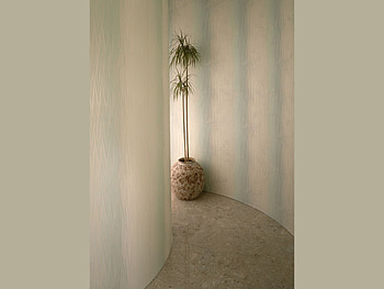 Flowers, Miscellanea, Miscellaneous, Striped, Wall, Vase, Angle, Corner HD wallpaper