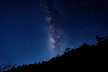 Nature, Trees, Starry Sky, Milky Way HD wallpaper
