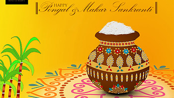 Happy Pongal Makar Sankranti Yellow Background Pongal HD wallpaper