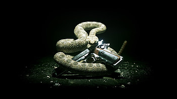 Animals, Snakes HD wallpaper