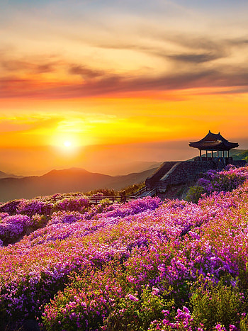 Korean landscape, Sunsets HD phone wallpaper
