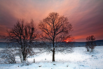 Strandzha, winter, snow, bulgaria, trees, , sunset, mountain HD wallpaper